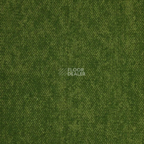 Haima Coral 30 фото 10 | FLOORDEALER